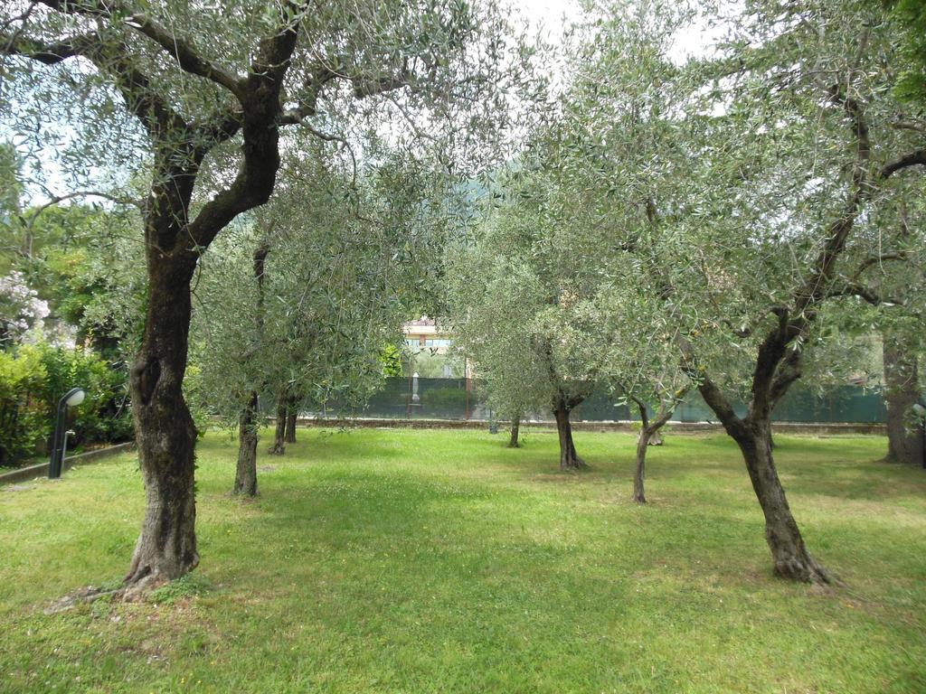 Residenza Hotel Garden Toscolano Maderno Buitenkant foto